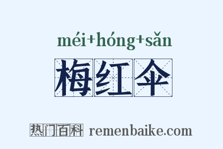 梅红伞是什么意思的图片